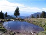 Kranjska reber (Kašni vrh) - Kašna planina Še eno jezerce, ki je tik pod vrhom.